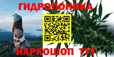 а пвп мука Новозыбков