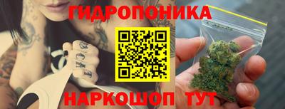 амф Новокубанск
